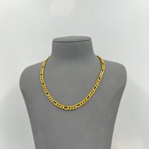 IMG_2632 سلسال جينزر