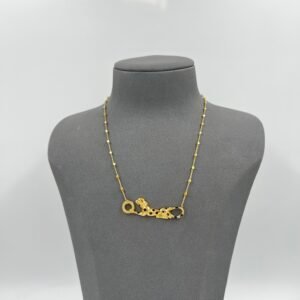 IMG_2655 سلسال كارتير ( تايقر)