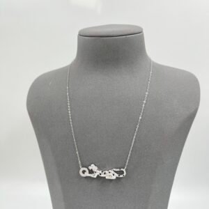 IMG_2726 سلسال كارتير