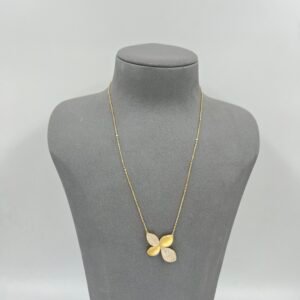 IMG_6507 عقد باسكال